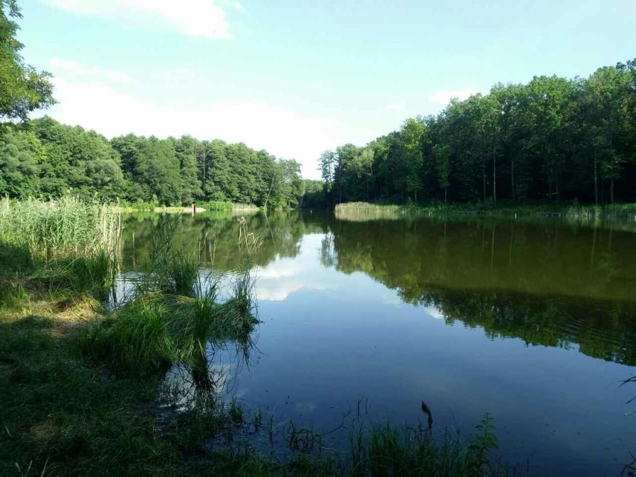 Holiday Home Rayskiy Ugolochek Kvitki Bagian luar foto